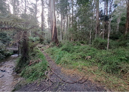 image of site location