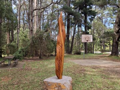 Storm Leaves Kalorama