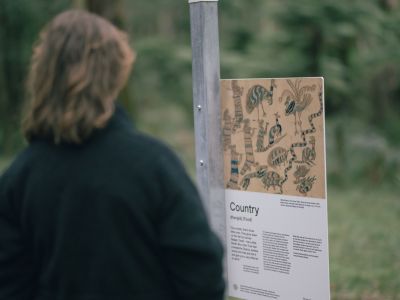 looking at a sign