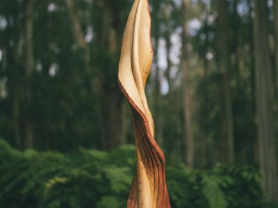 Storm Leaves, detailk, Grants Picnic Ground